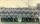 Kompaniefoto 1976