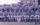 Zugfoto 1.Zug 1977